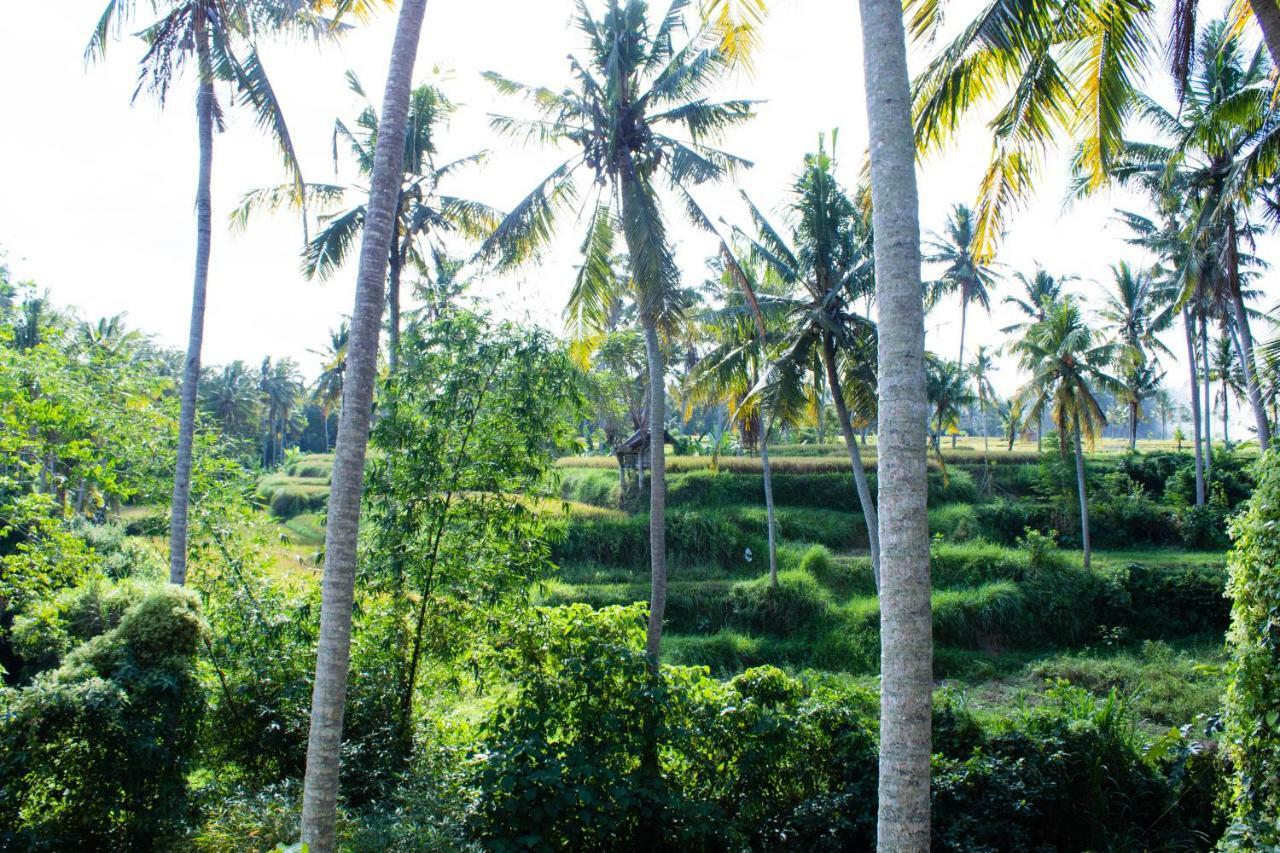 Alam Grigis Ubud エクステリア 写真